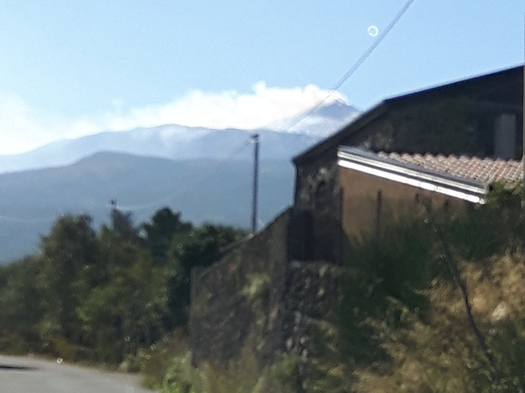 Tenuta Antica Cavalleria主图
