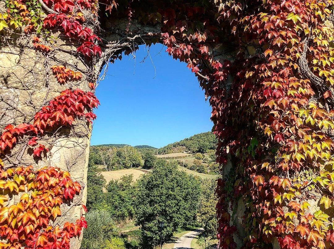 Castello di Porciano景点图片