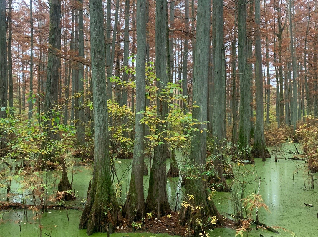 Heron Pond Preserve-Belknap必去景点