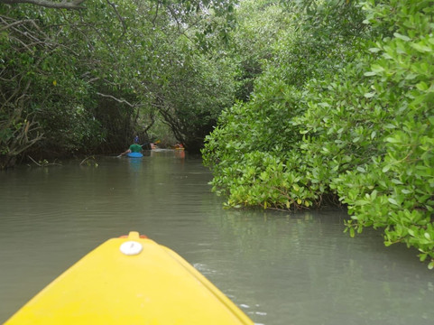 Tangalle Lagoon - Kayak-唐卡拉必去景点