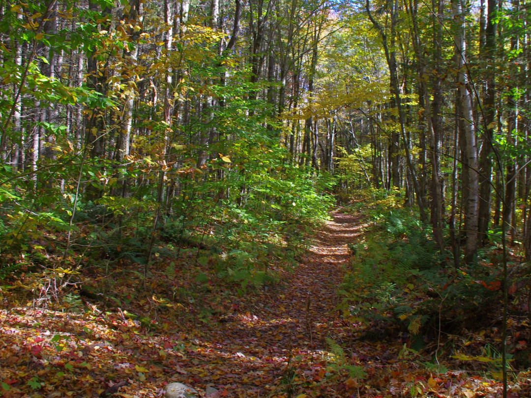 Bucklin Trail-Mendon必去景点