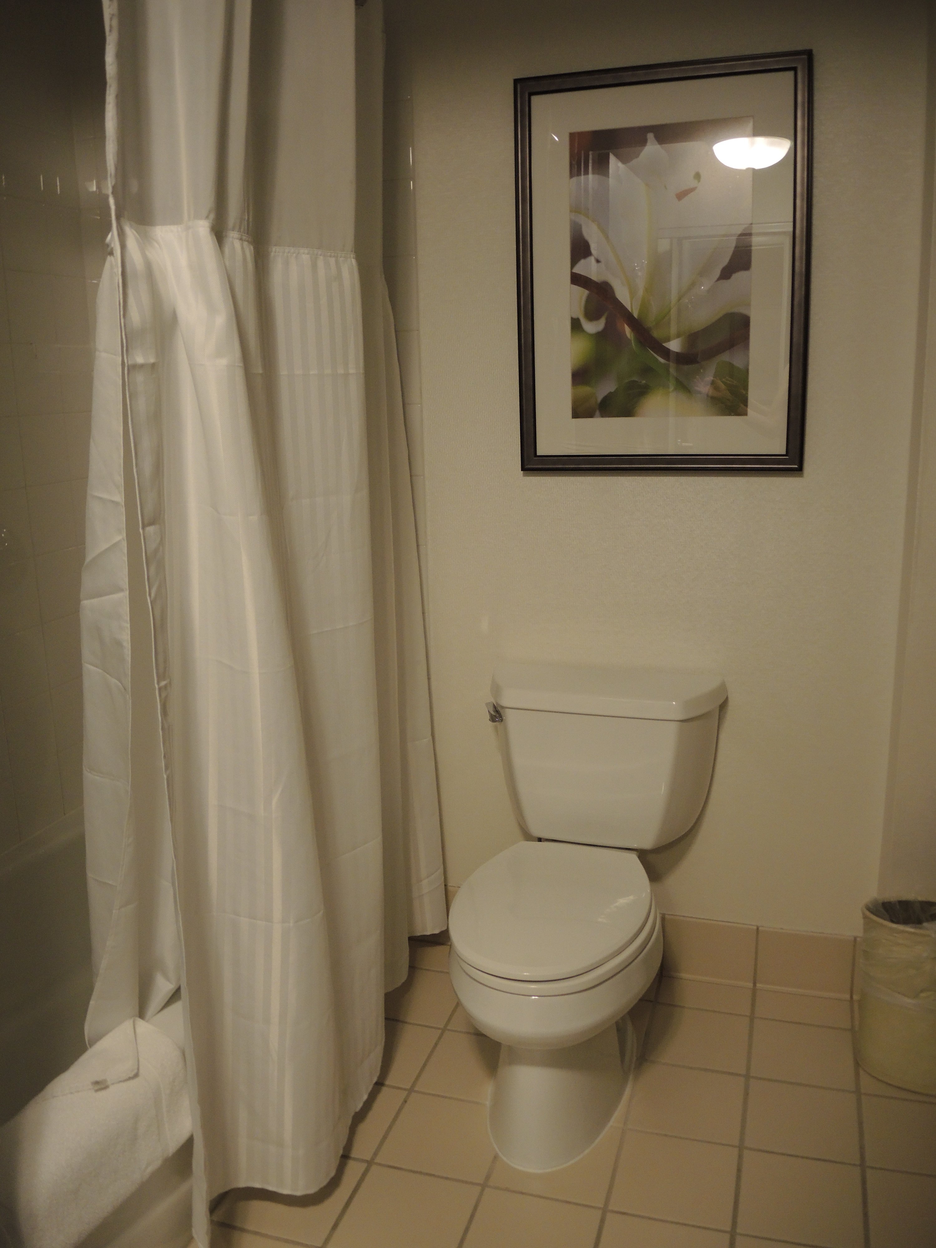 Hilton Garden Inn Worcester-浴室