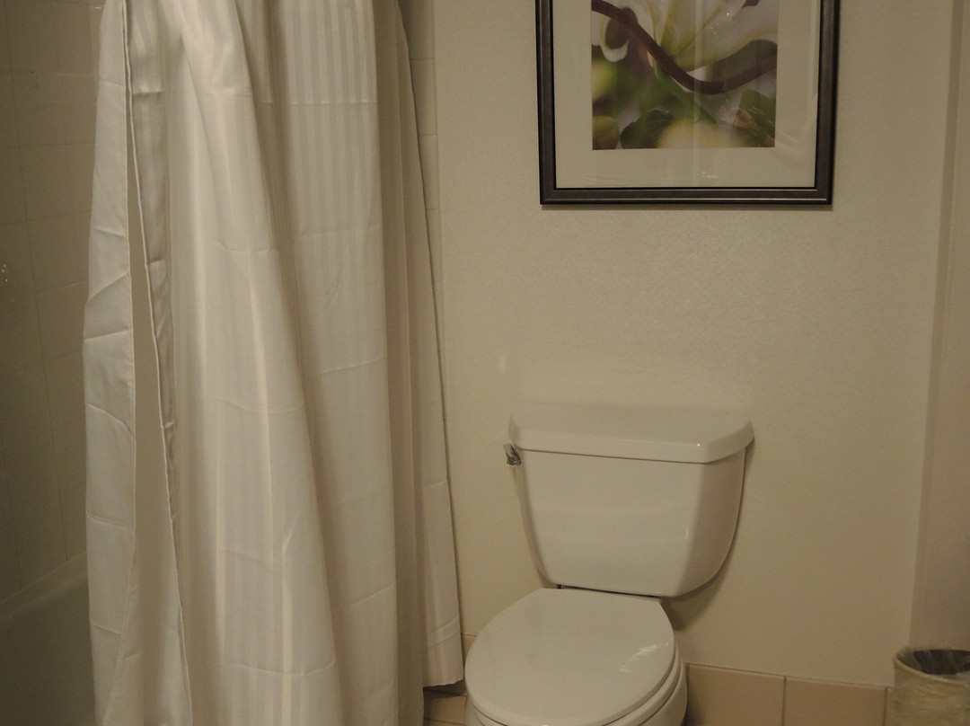 Hilton Garden Inn Worcester主图