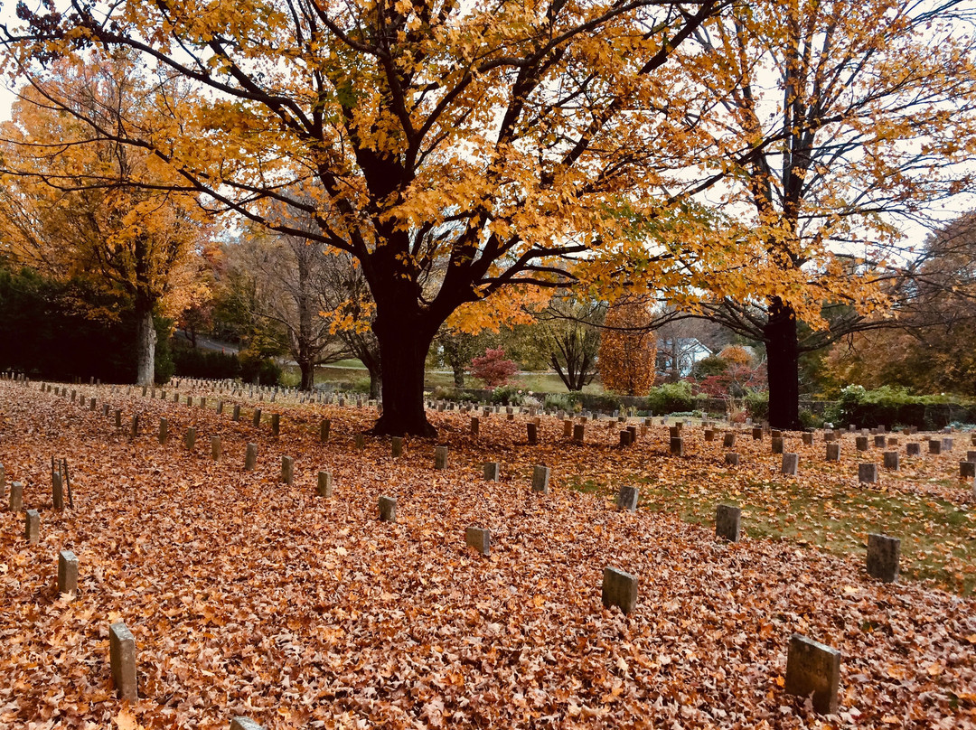 Old City Cemetery Museums and Arboretum景点图片