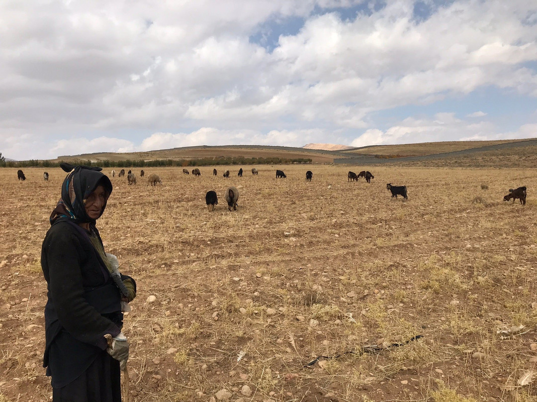 Qashqai Nomad Village-Shiraz必去景点