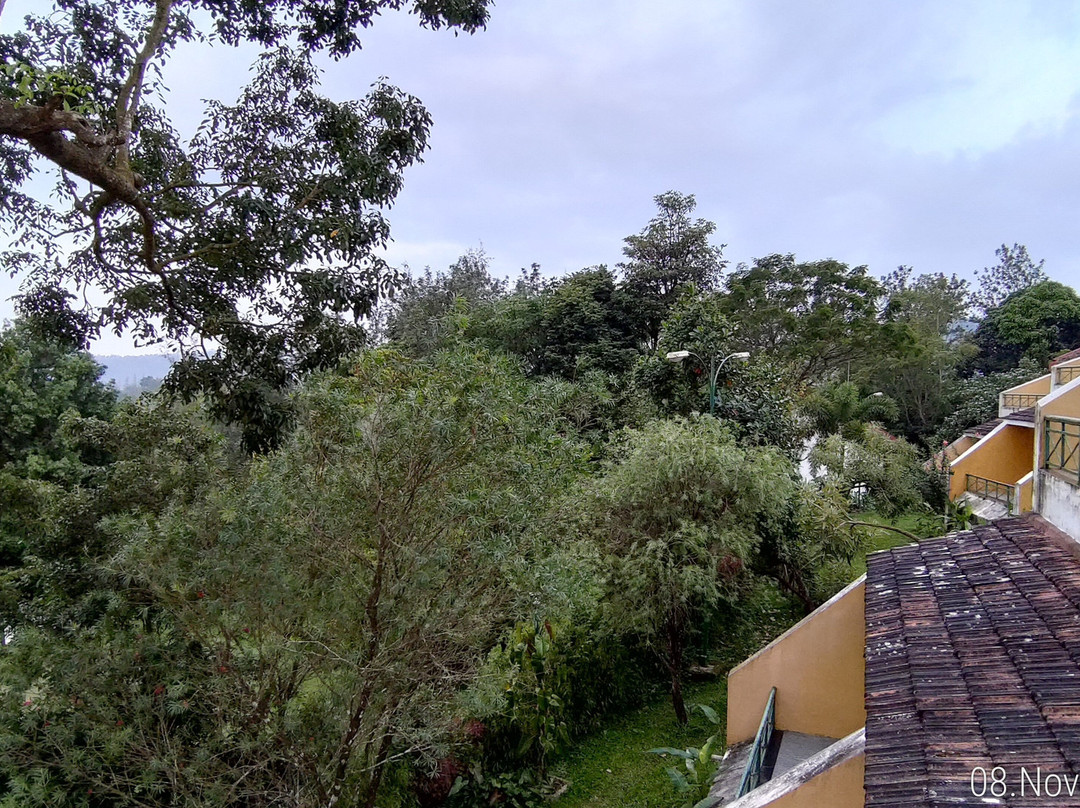 Amritara Ambatty Greens Resort,Coorg主图