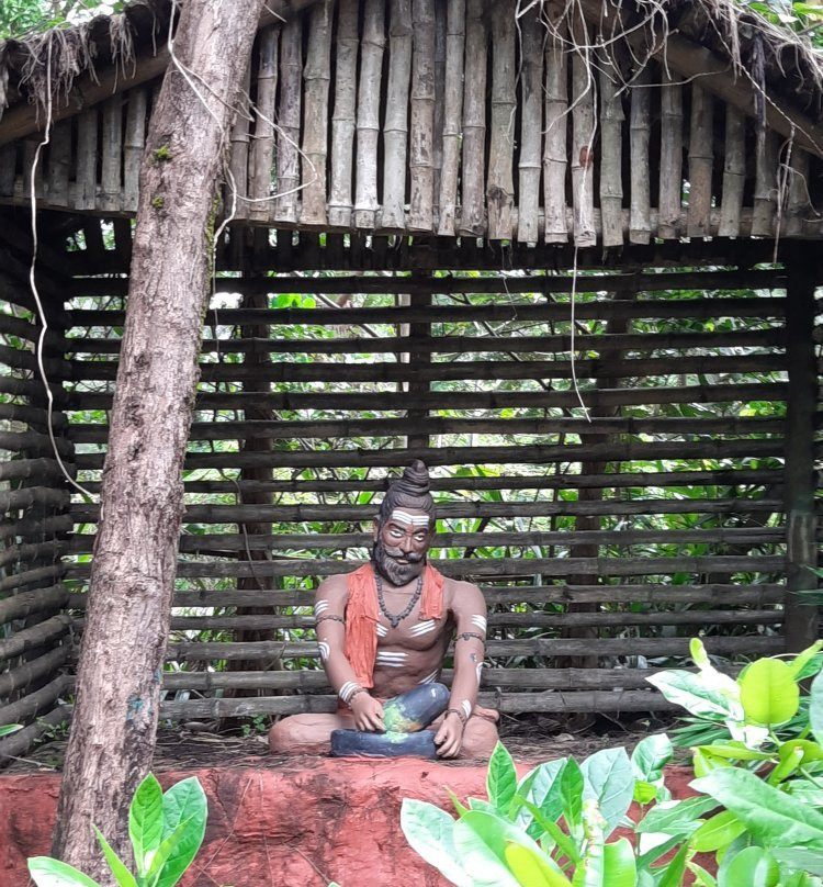 Tannirbhavi Tree Park-芒加罗必去景点