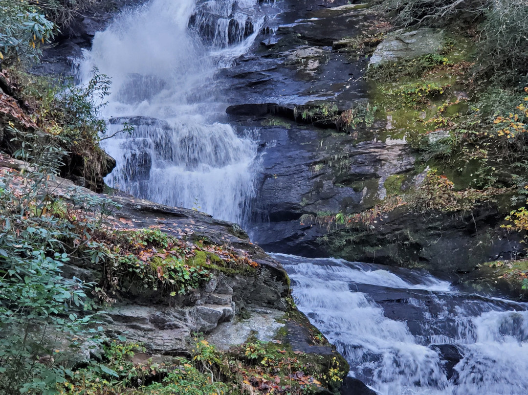 Mud Creek Falls景点图片