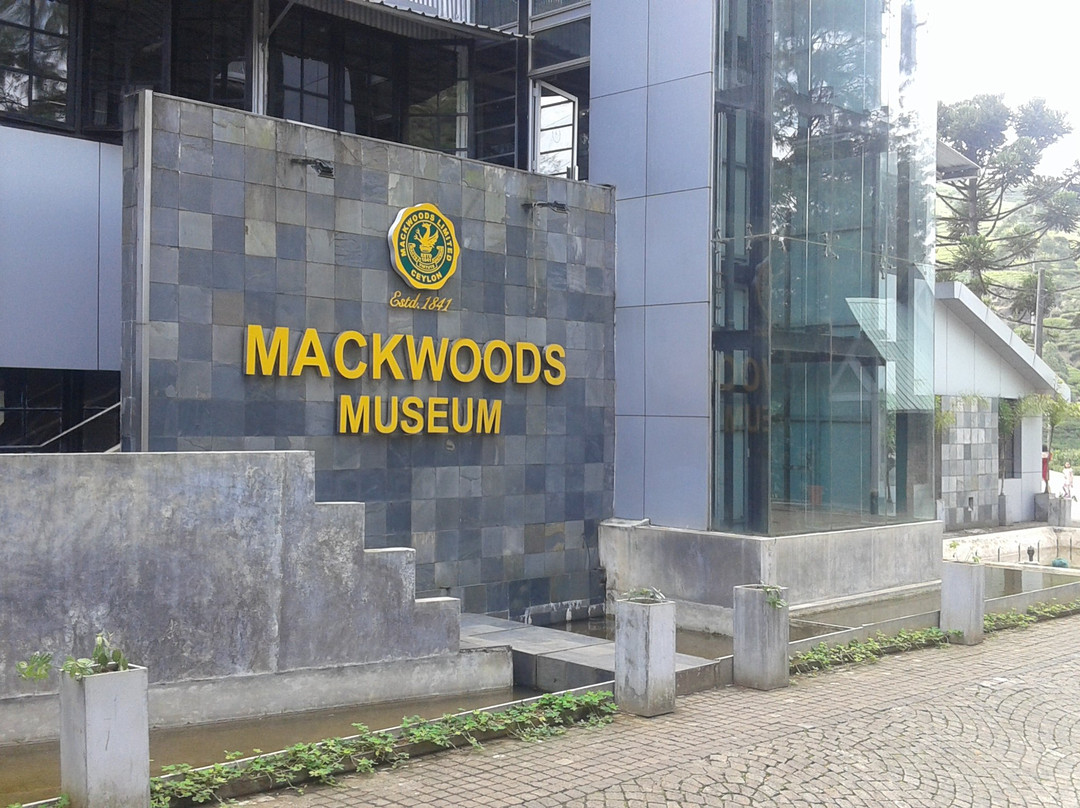 麦克伍兹茶工场-奴娃拉伊利雅必去景点