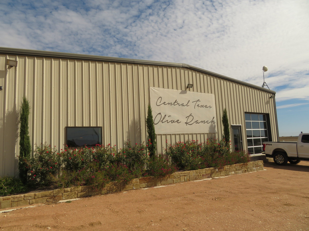 Central Texas Olive Ranch景点图片