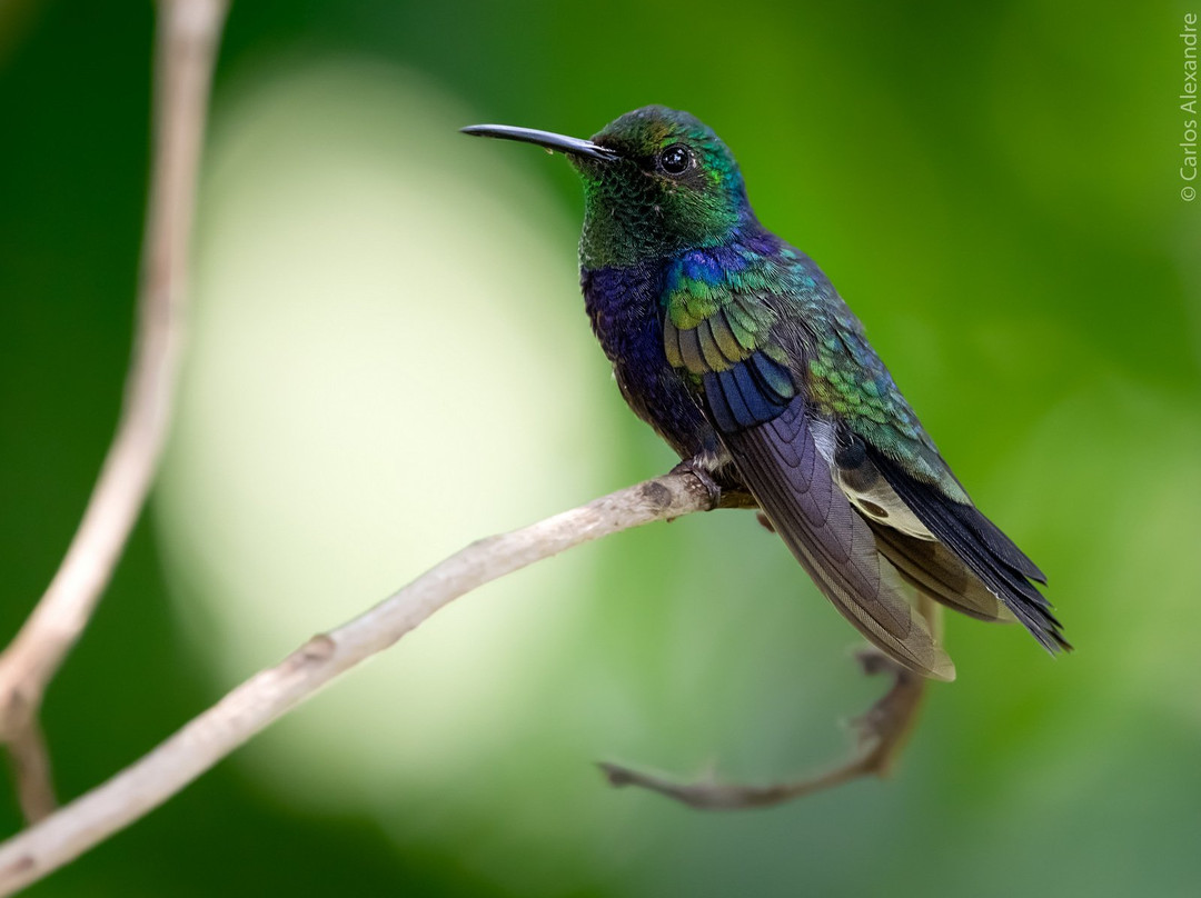 Pousada Reino Encantado主图