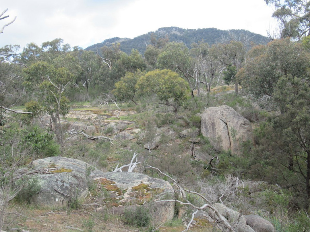 Langi Ghiran State Park-Warrak必去景点