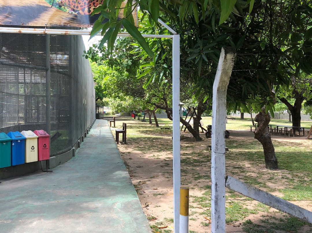 Zoologico do Batalhao do Forte Sao Joaquim-Boa Vista必去景点