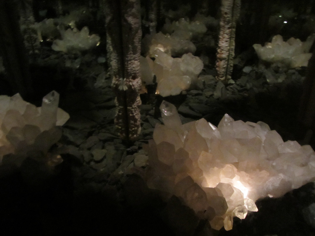Mushroom Museum-Treffen必去景点