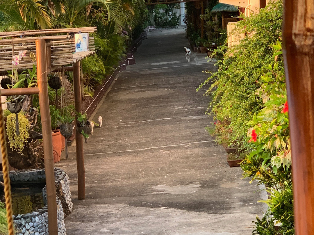 Olana Bed & Breakfast主图