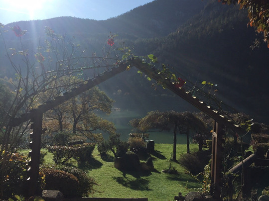 Pension Hubertus主图