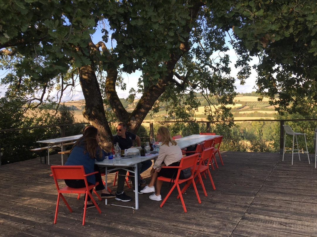 Roccafiore Winery-托迪必去景点