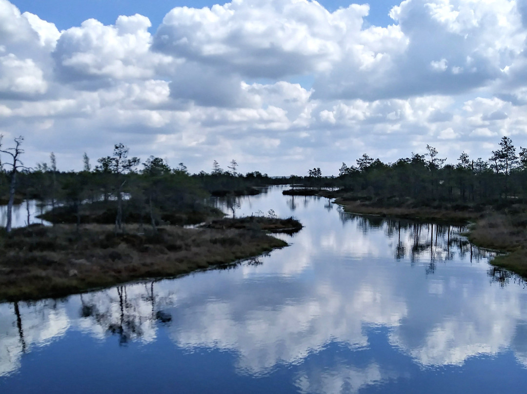 Kemeri National Park-尤尔马拉必去景点