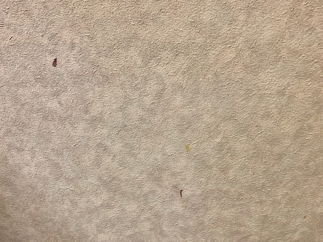 Days Inn by Wyndham Saint Pauls主图