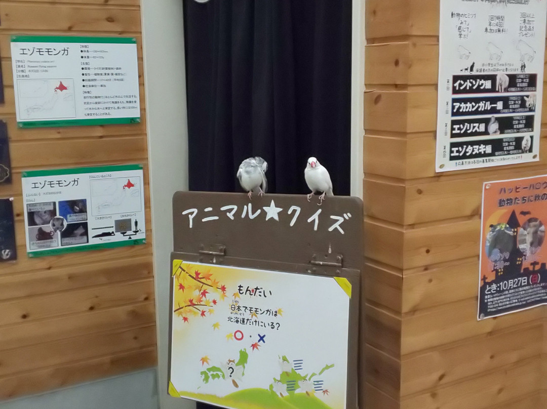 Obihiro Zoo-带广市必去景点
