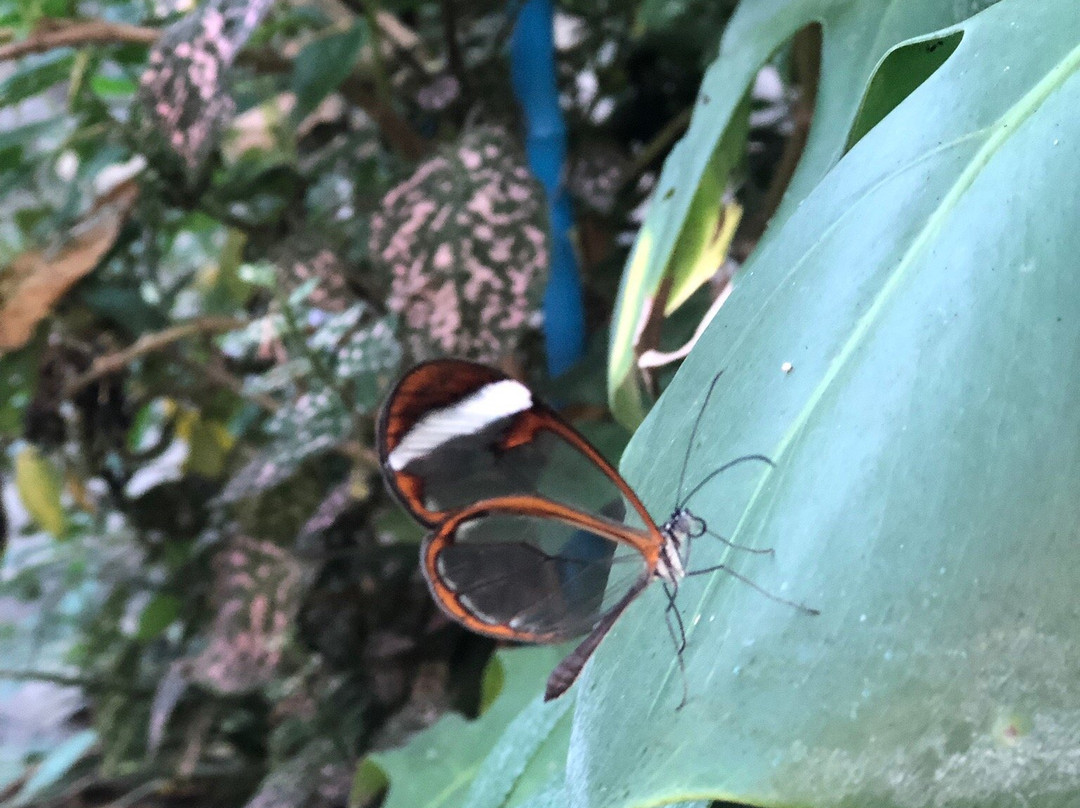 Portsmouth Natural History Museum-普兹茅斯必去景点