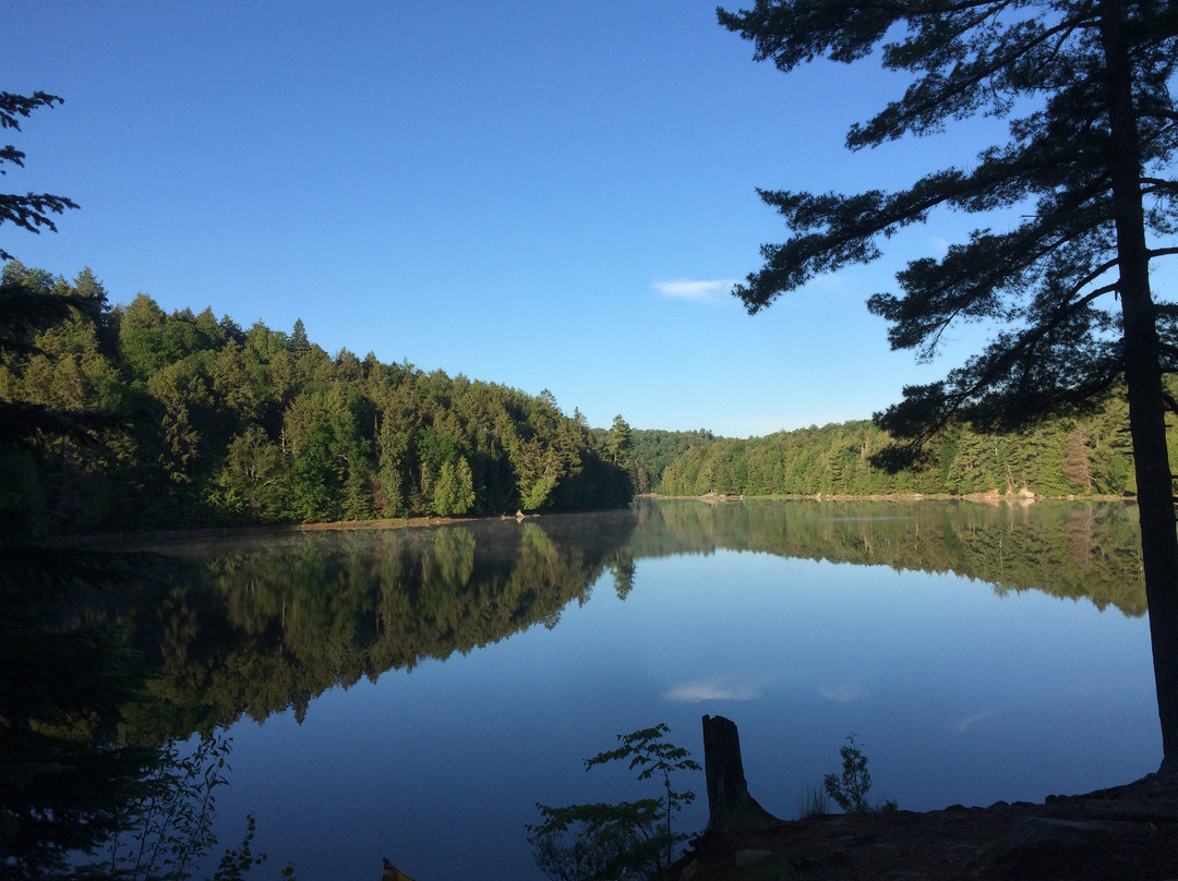 Algonquin Provincial Park景点图片