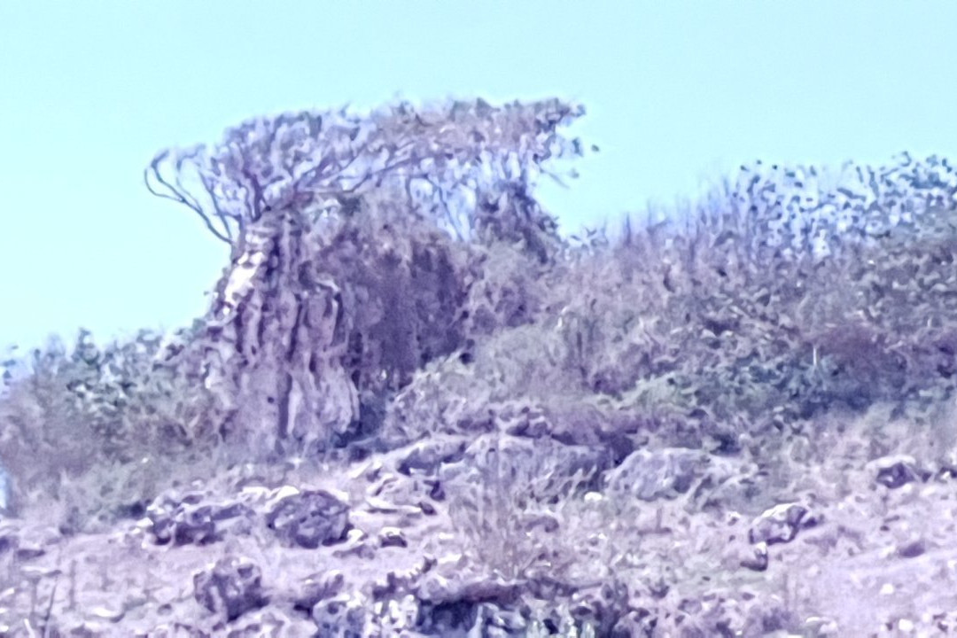 Peh Pulo Beach-勿里达必去景点