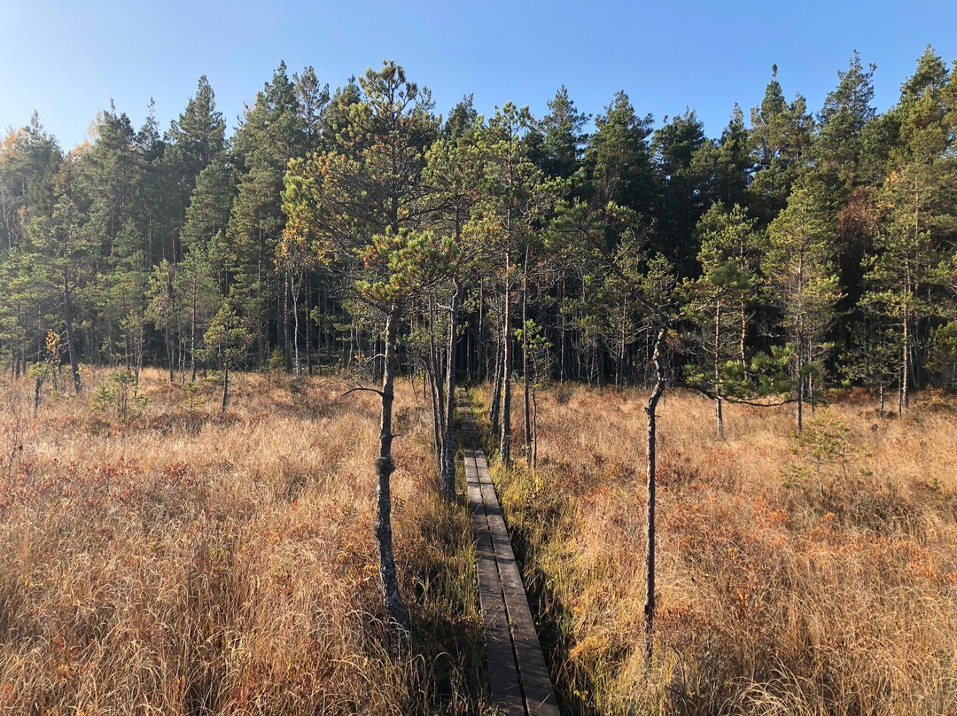 Naturreservatet Florarna-Oesterbybruk必去景点