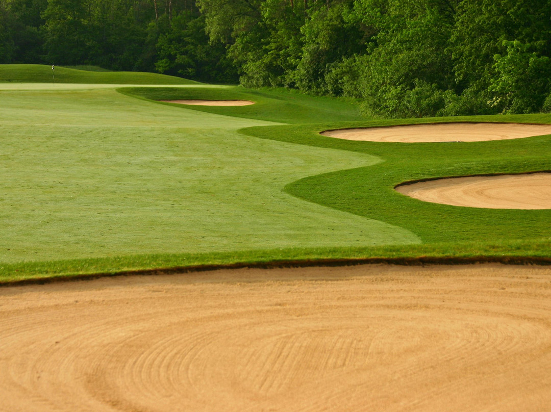 Stonehenge Golf Club景点图片