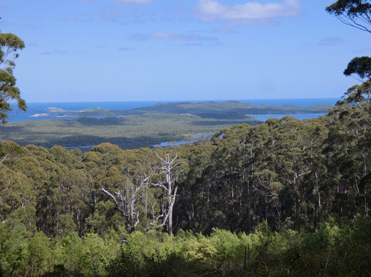 Shannon National Park-Manjimup必去景点