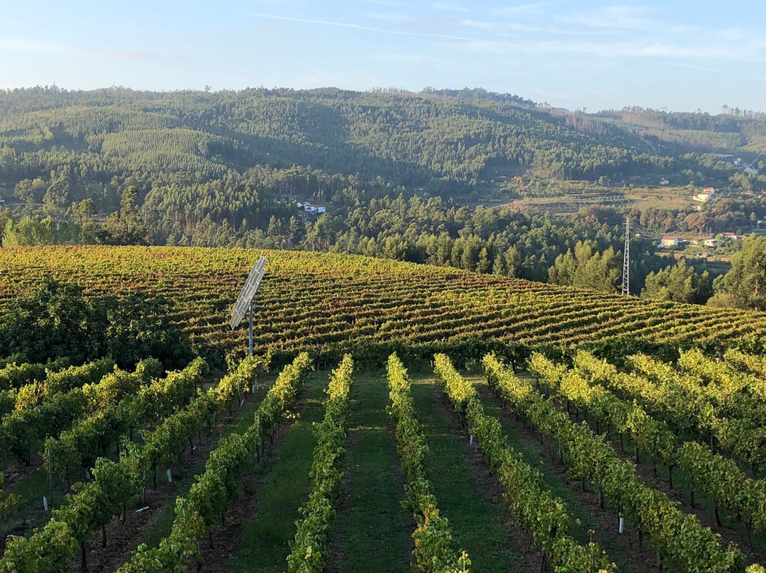 Monverde Wine Experiene Hotel主图