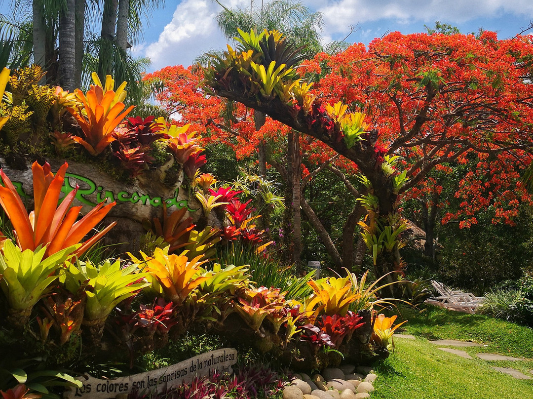 圣克鲁斯省餐馆和美食-La Rinconada