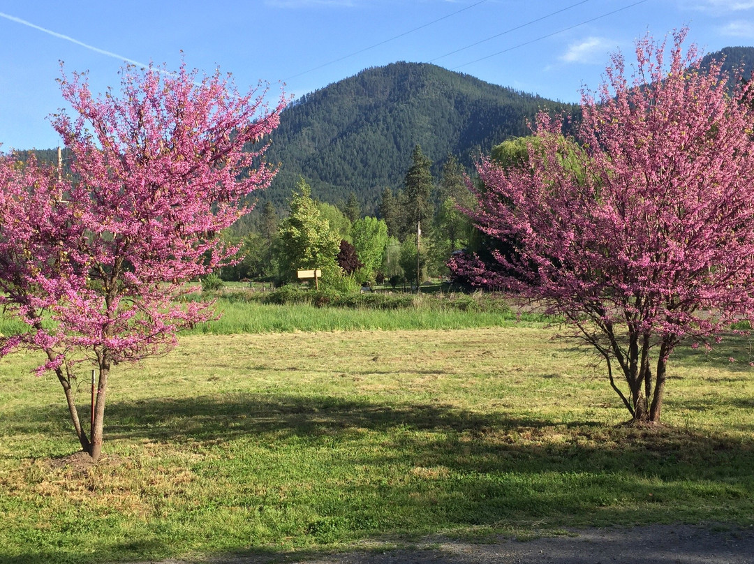 Devitt Winery and Vineyards景点图片