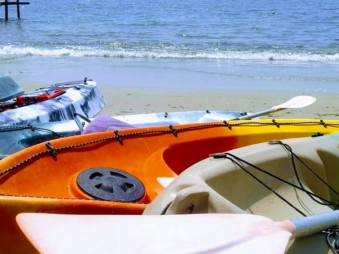 Wild Blue Diving-Thoothukudi必去景点