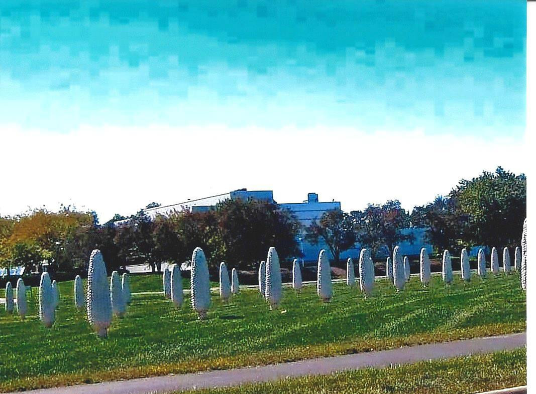 都柏林旅游景点-Field of Giant Corn Ears