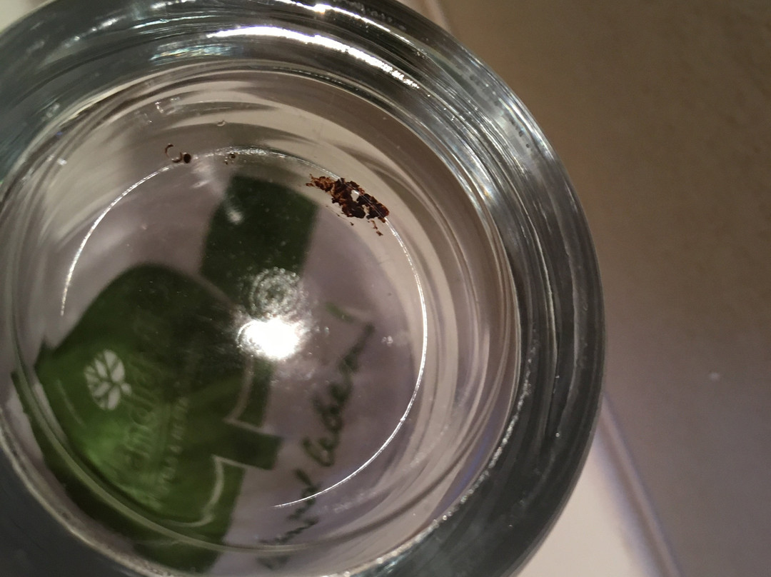 NaturPurHotel Maarblick主图