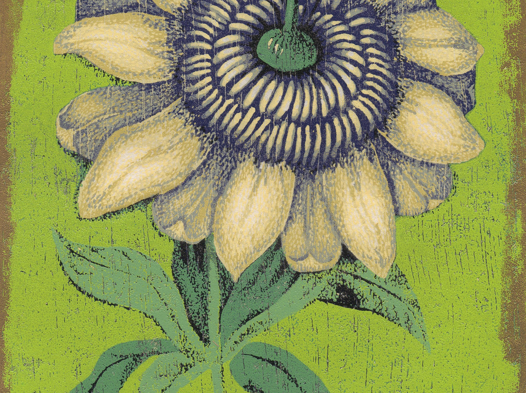 Copake旅游景点-Passiflora