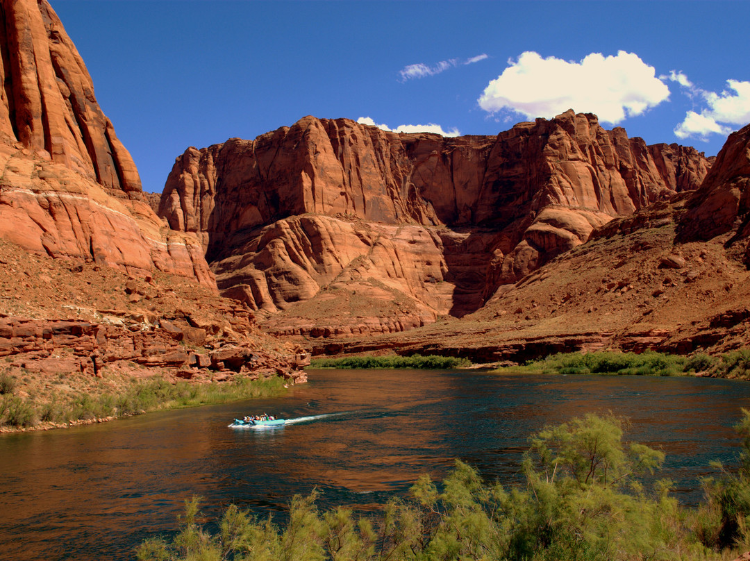 Colorado River Discovery景点图片