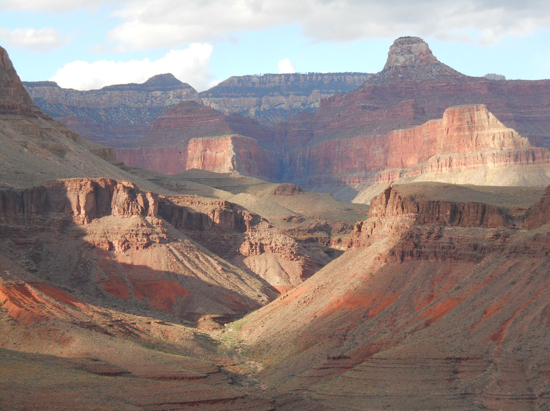 Grand Canyon Conservancy景点图片