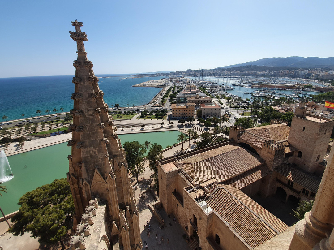 City Adventure-马洛卡帕尔马必去景点