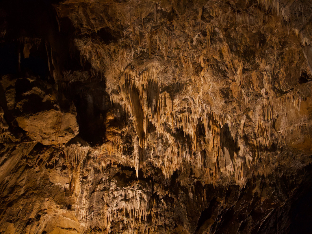 Cave of Lorette-Rochefort景点图片