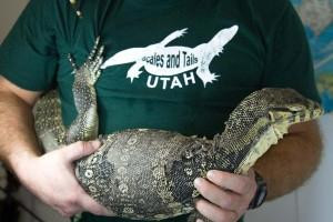 Scales and Tails Utah-西瓦利城必去景点