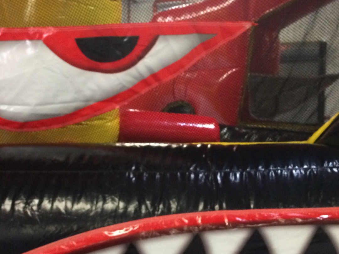 San Vicente旅游景点-Ally B Gators