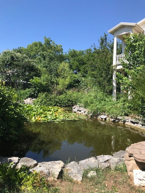 Verandas Guest House-浴室