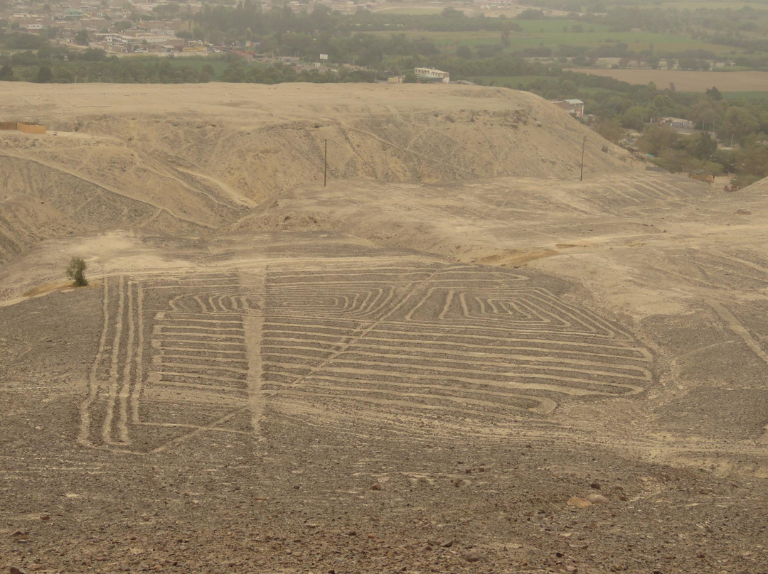 Geoglifos de Llipata-Palpa必去景点