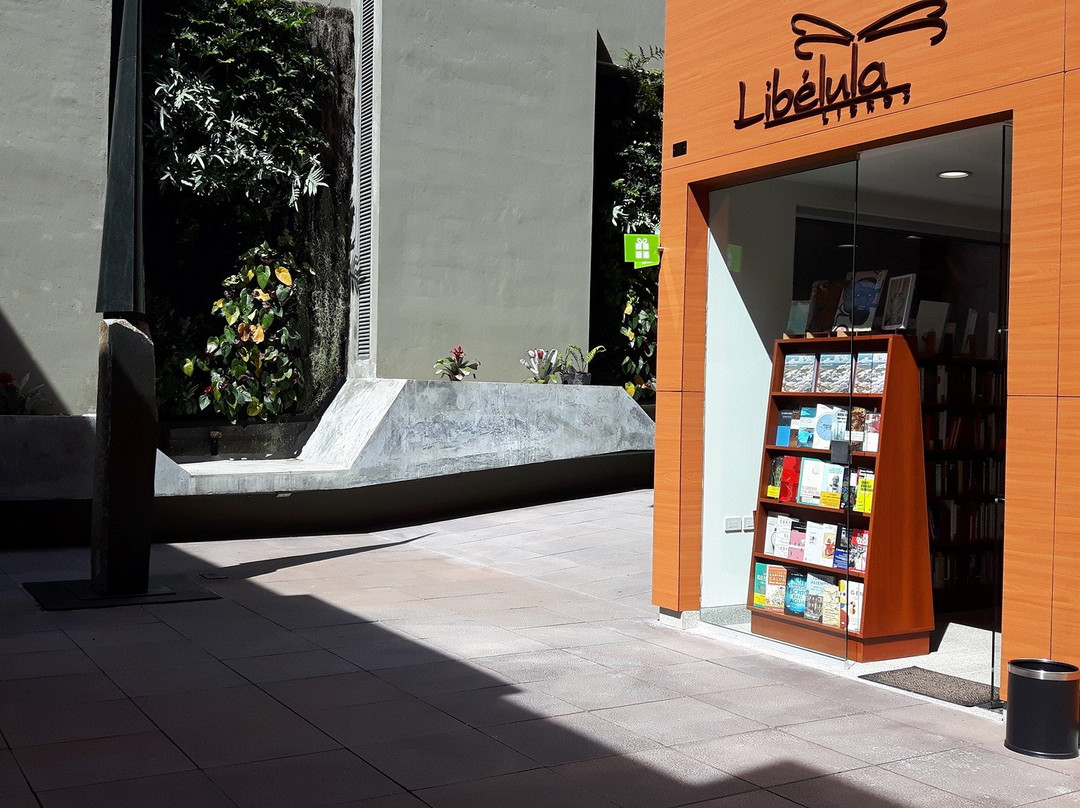 Libelula Libros-Manizales必去景点