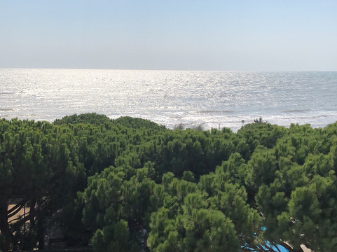 维纳德马尔皮内塔酒店主图