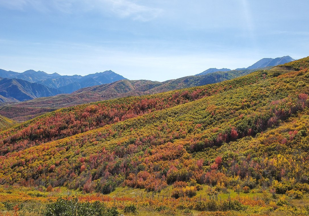Cascade Springs-Charleston必去景点
