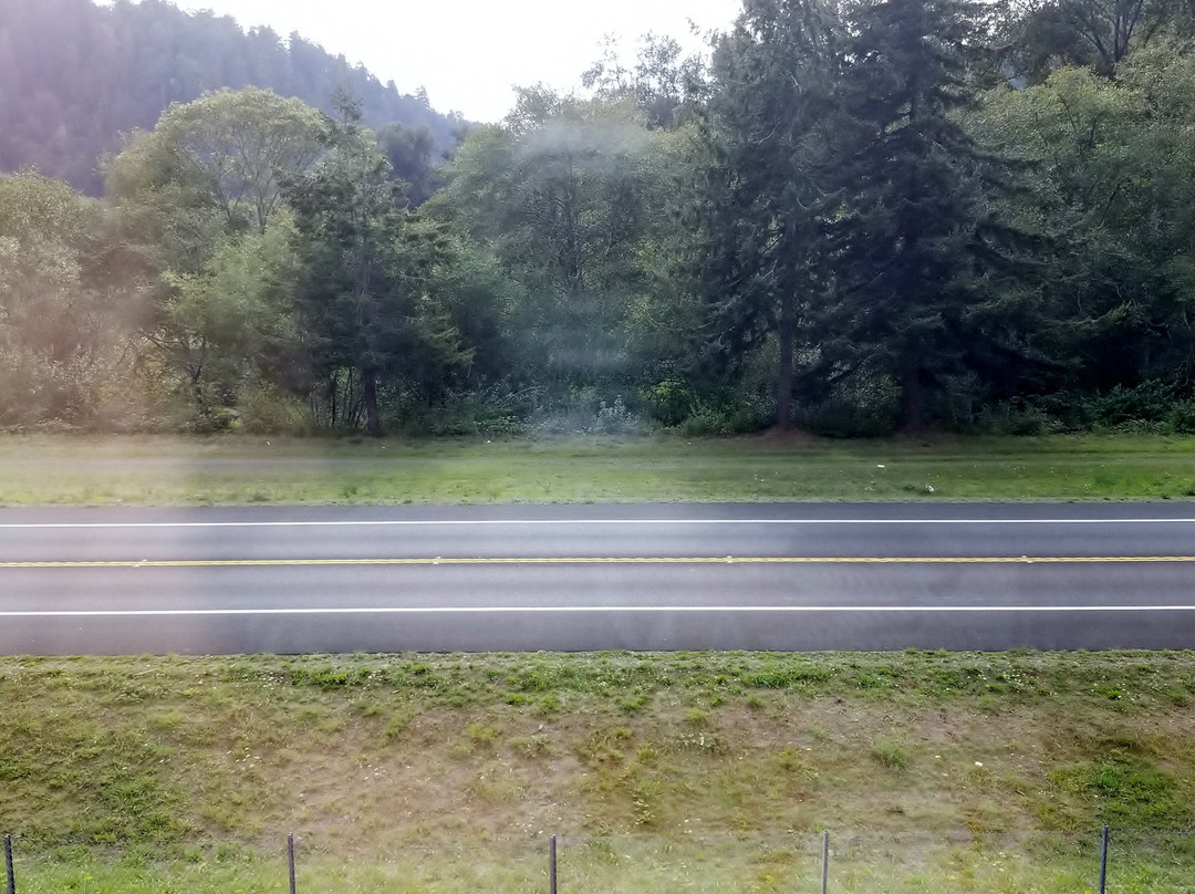 克拉马斯红木国家公园假日智选快捷酒店主图