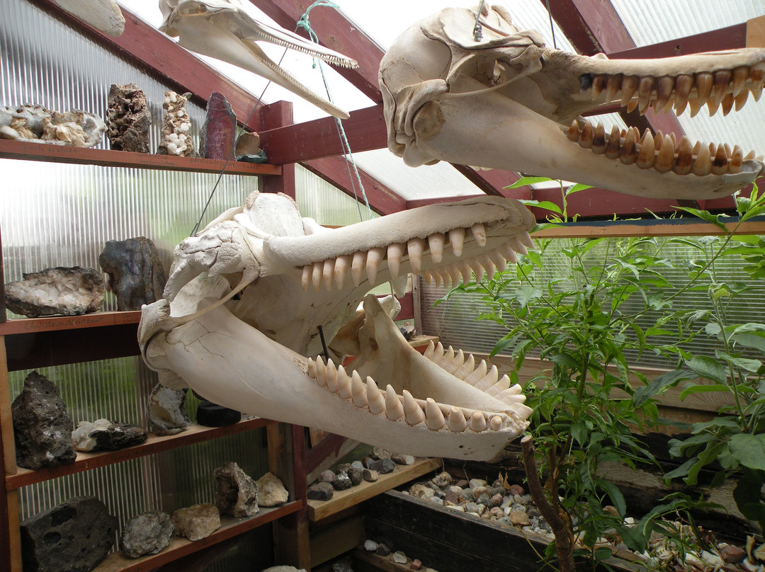 Gallery Freevilli-Djupivogur必去景点